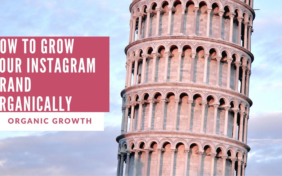 12 organic growth factors for instagram how to organically grow on instagram - instagram organic growth